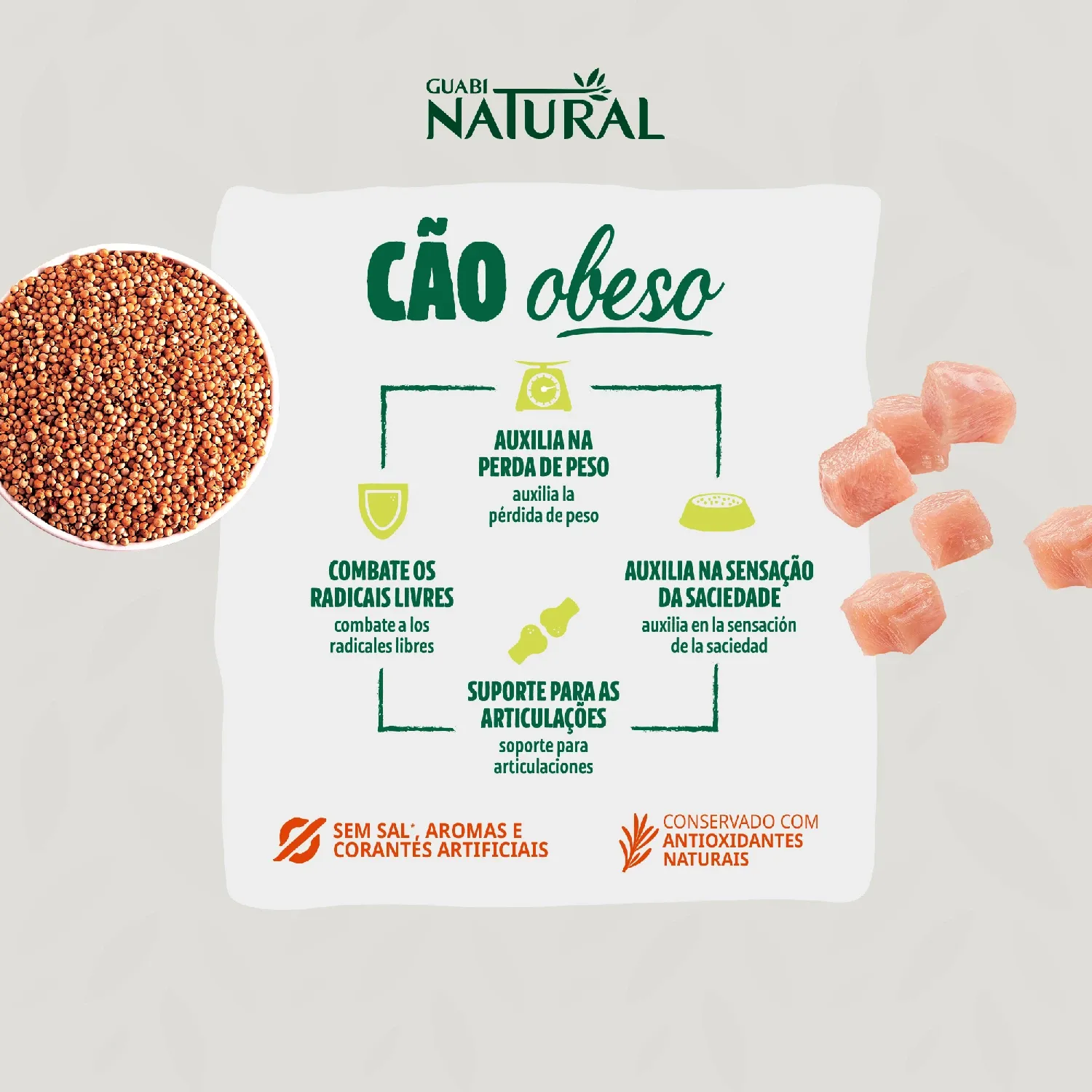 Racao Guabi Natural Caes Obesos Mini e Pequeno 4
